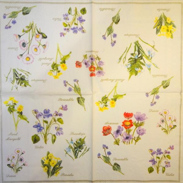 036 Daffodils - 3-ply (yellow)